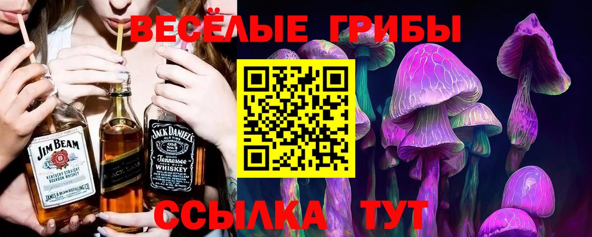 Псилоцибиновые грибы мицелий  Псилоцибиновые грибы Psilocybine cubensis  Вход с VPN  Мурино 